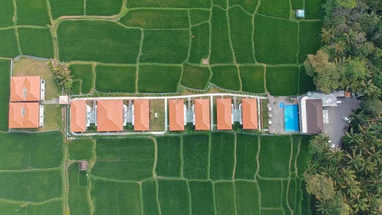 乌布一号别墅 外观 照片
